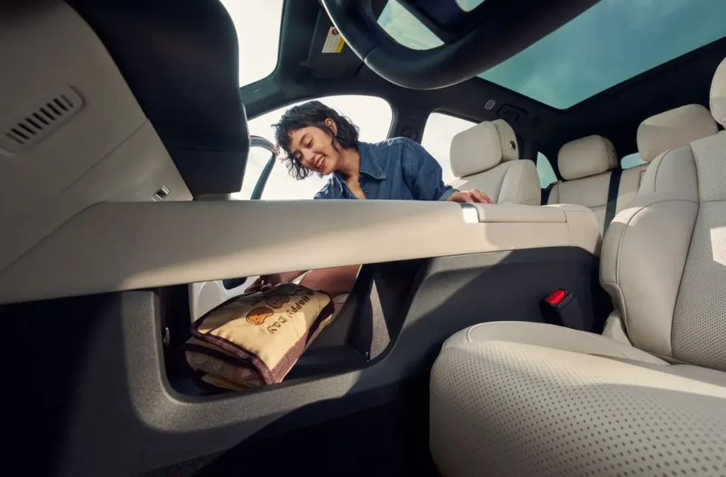 Details for Passengers in the Back