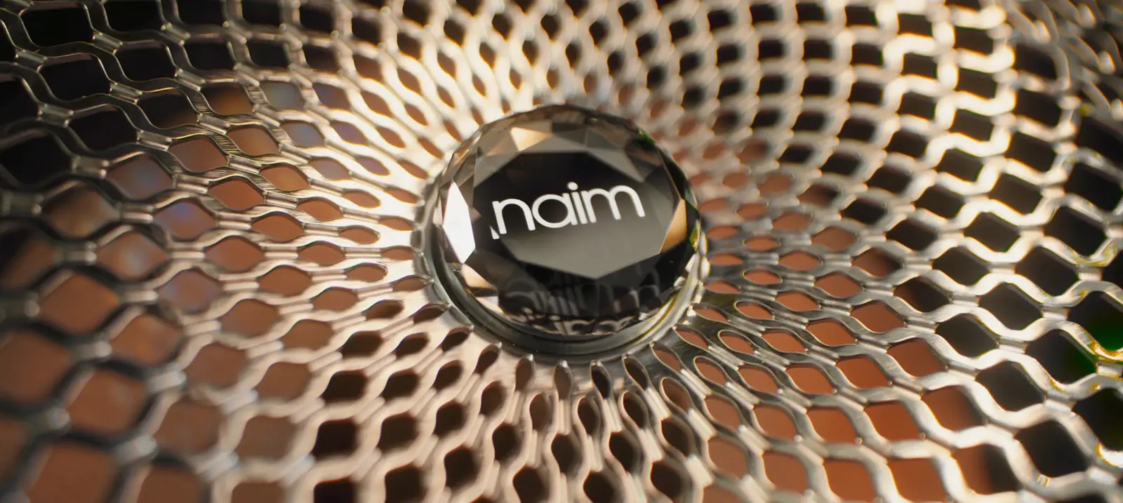 Naim audio, 29 speakers